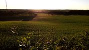<x>Northern Viborg from the top of a tree<a href="https://www.openstreetmap.org/#map=19/56.47514/9.45053" target="_blank"><div id="inv" class="loctxt"></div></a></x>
